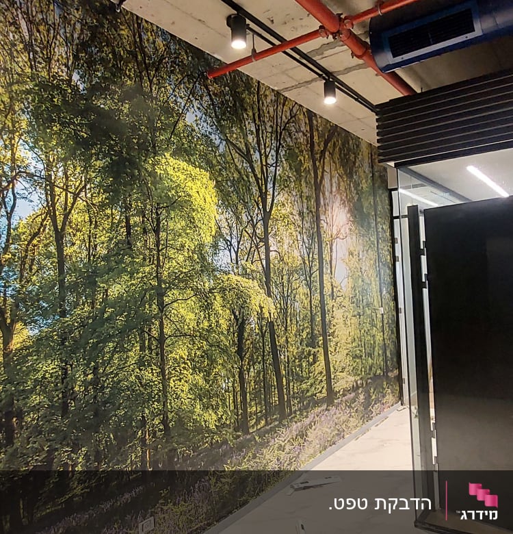 טפט יער עם עצים ירוקים במשרד מודרני